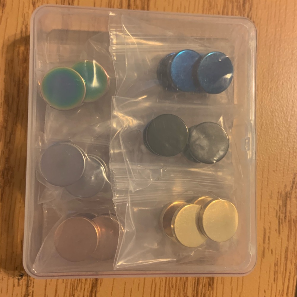 Faux Plug Earrings